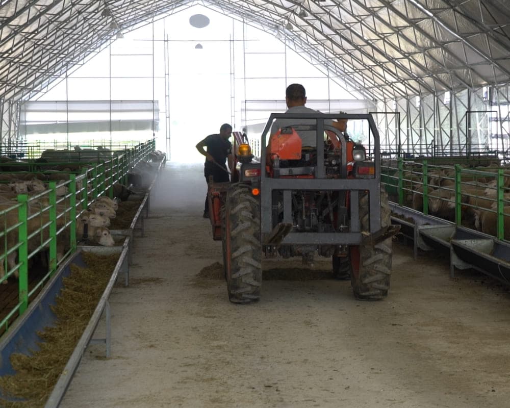 Livestock & Animal Husbandry Shelter Tents