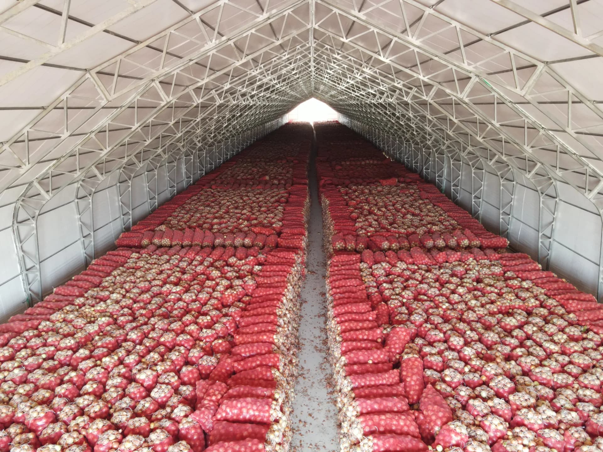 Food Storage