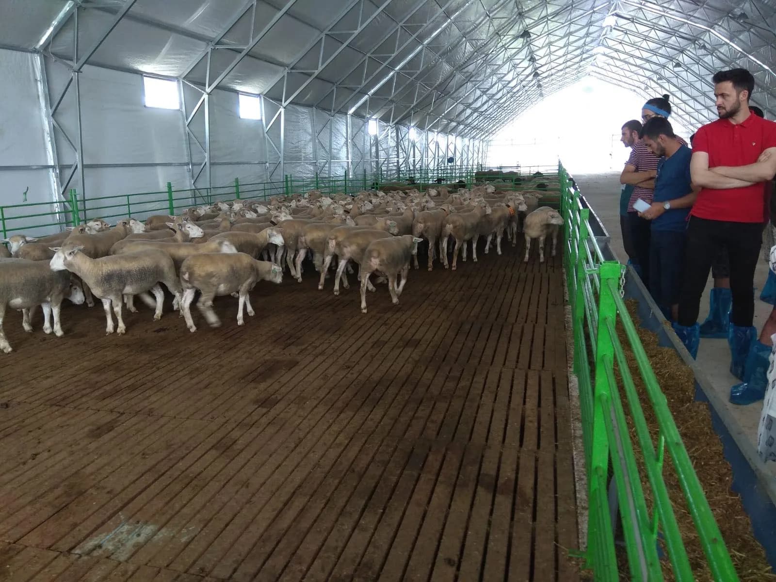 Livestock shelter