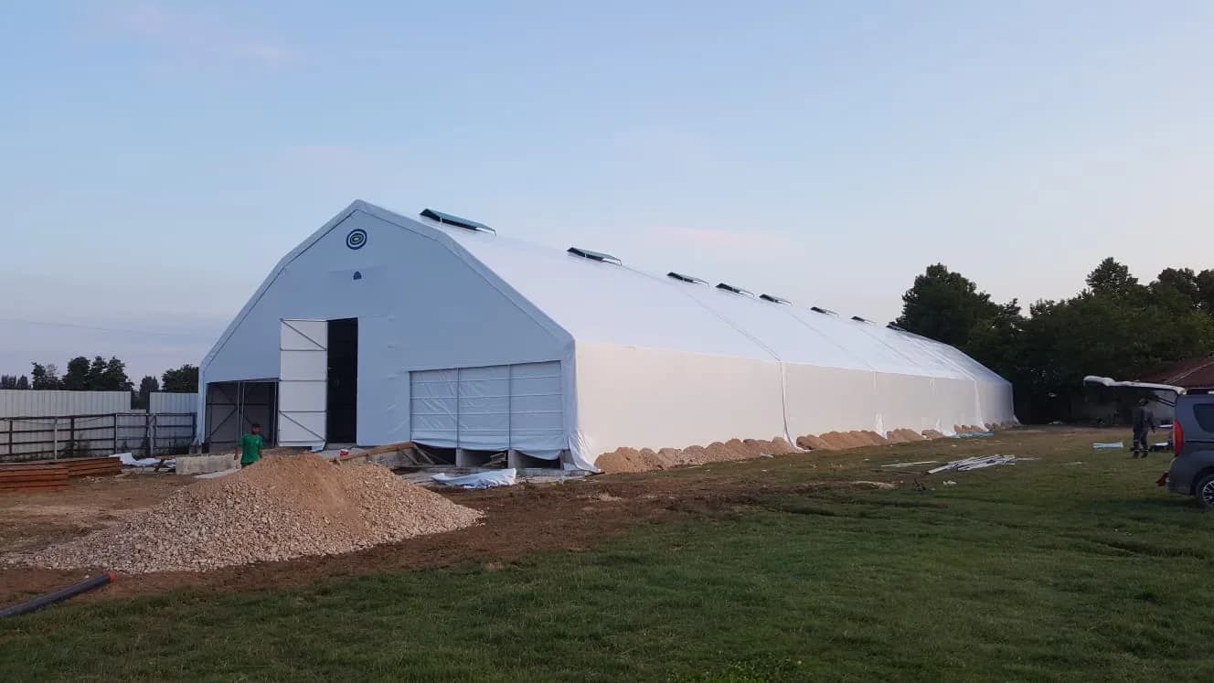 Cattle housing tent
