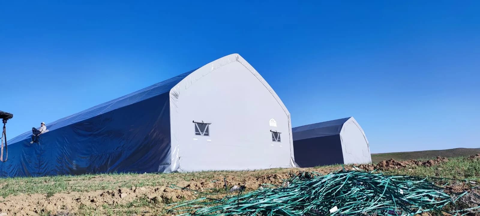 Cattle housing tent