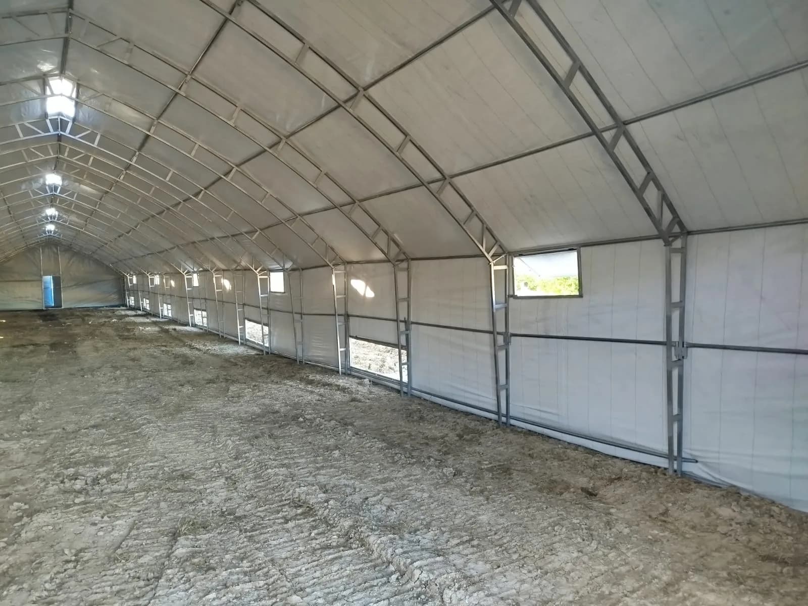 Cattle housing tent