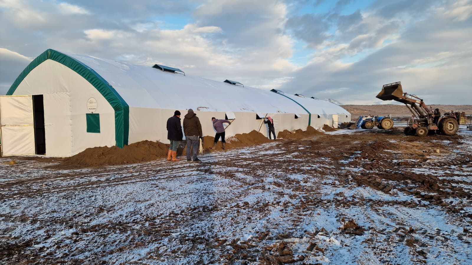 Cattle housing tent