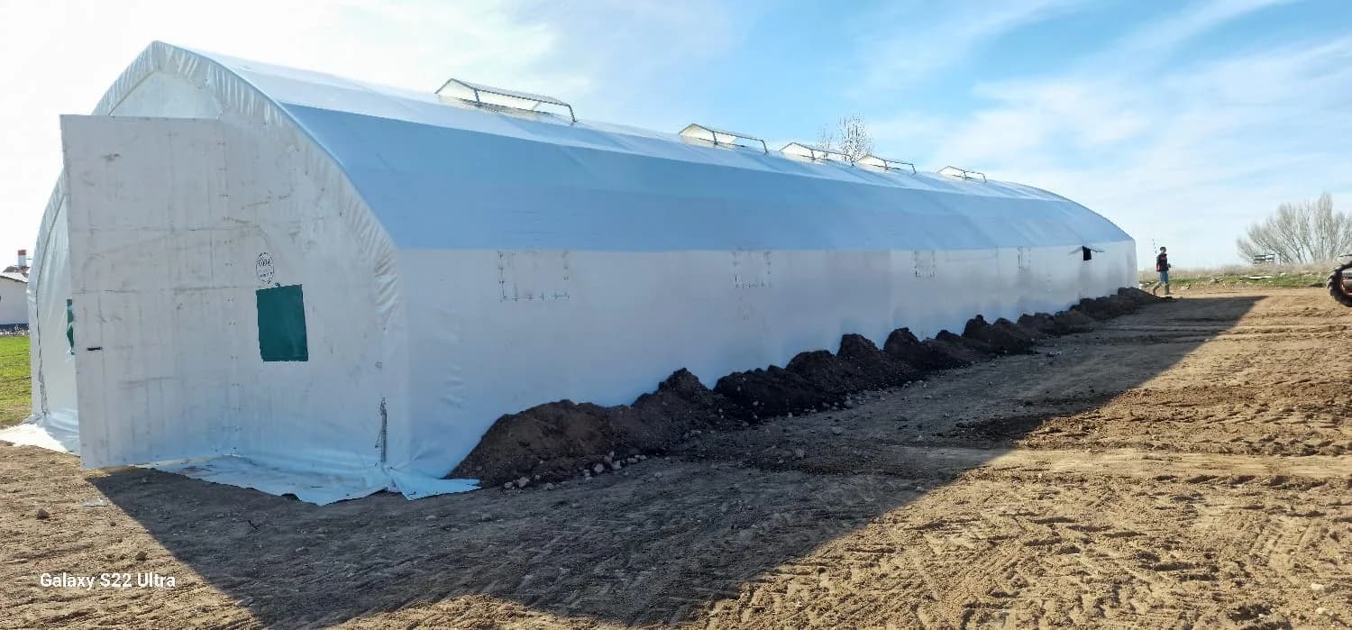 Poultry house tent