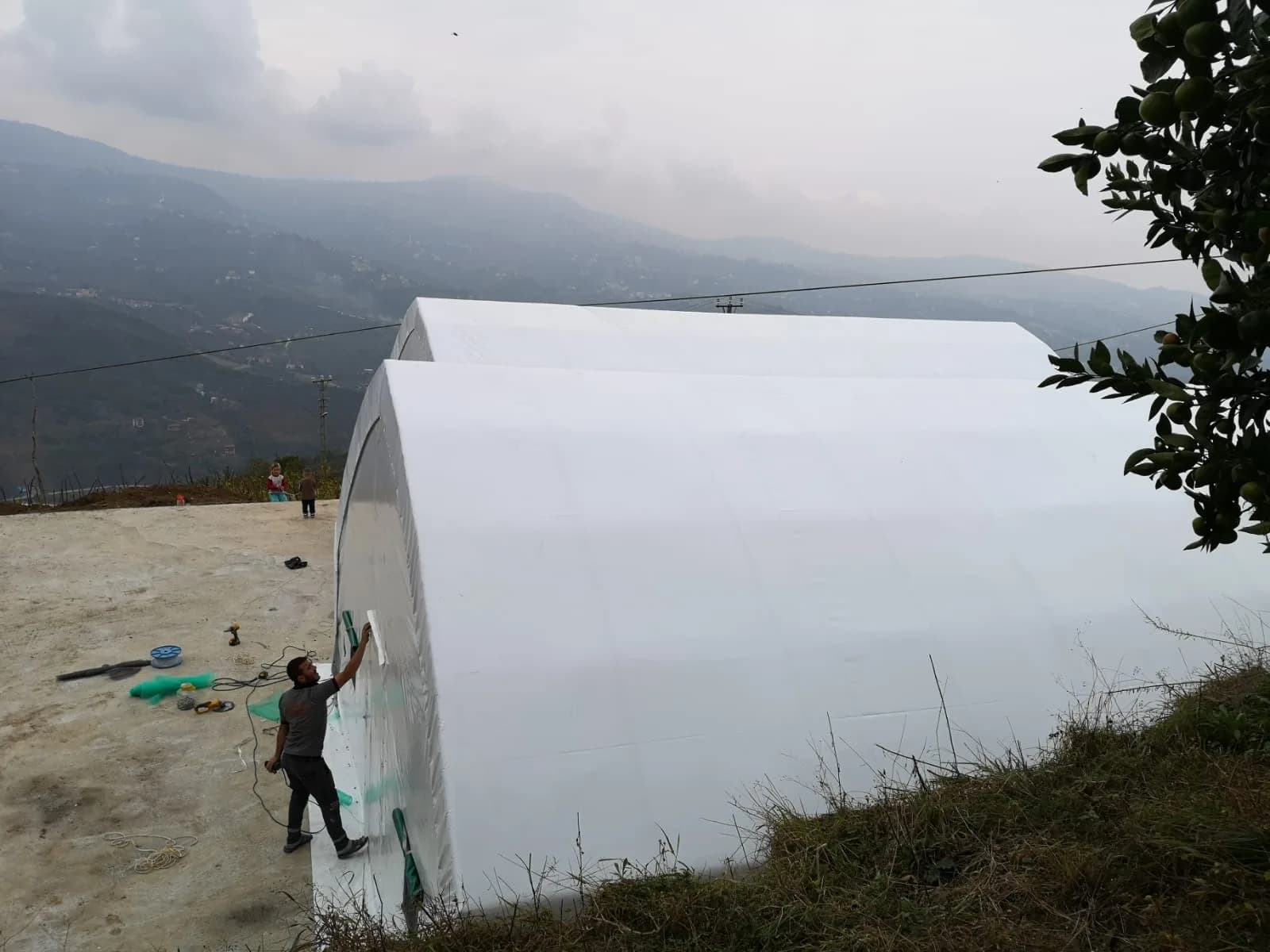 Mushroom growing tent