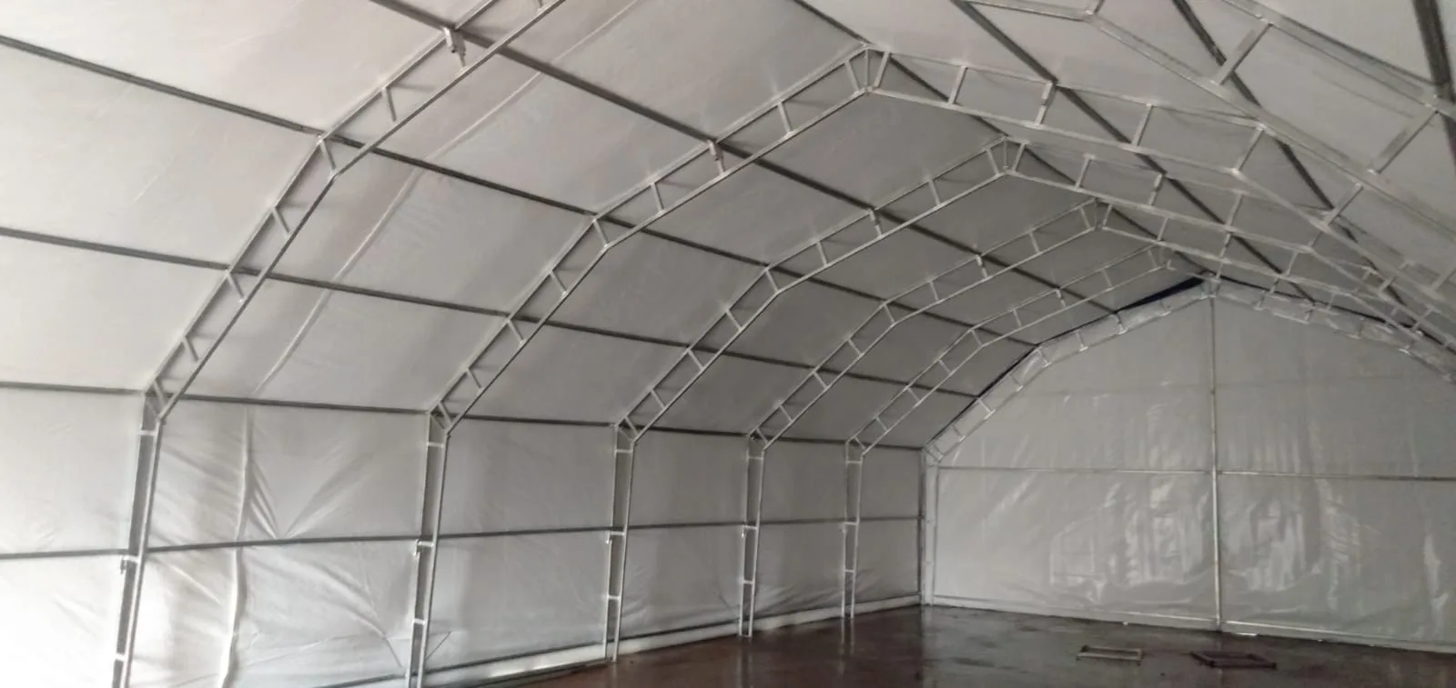 Mushroom growing tent