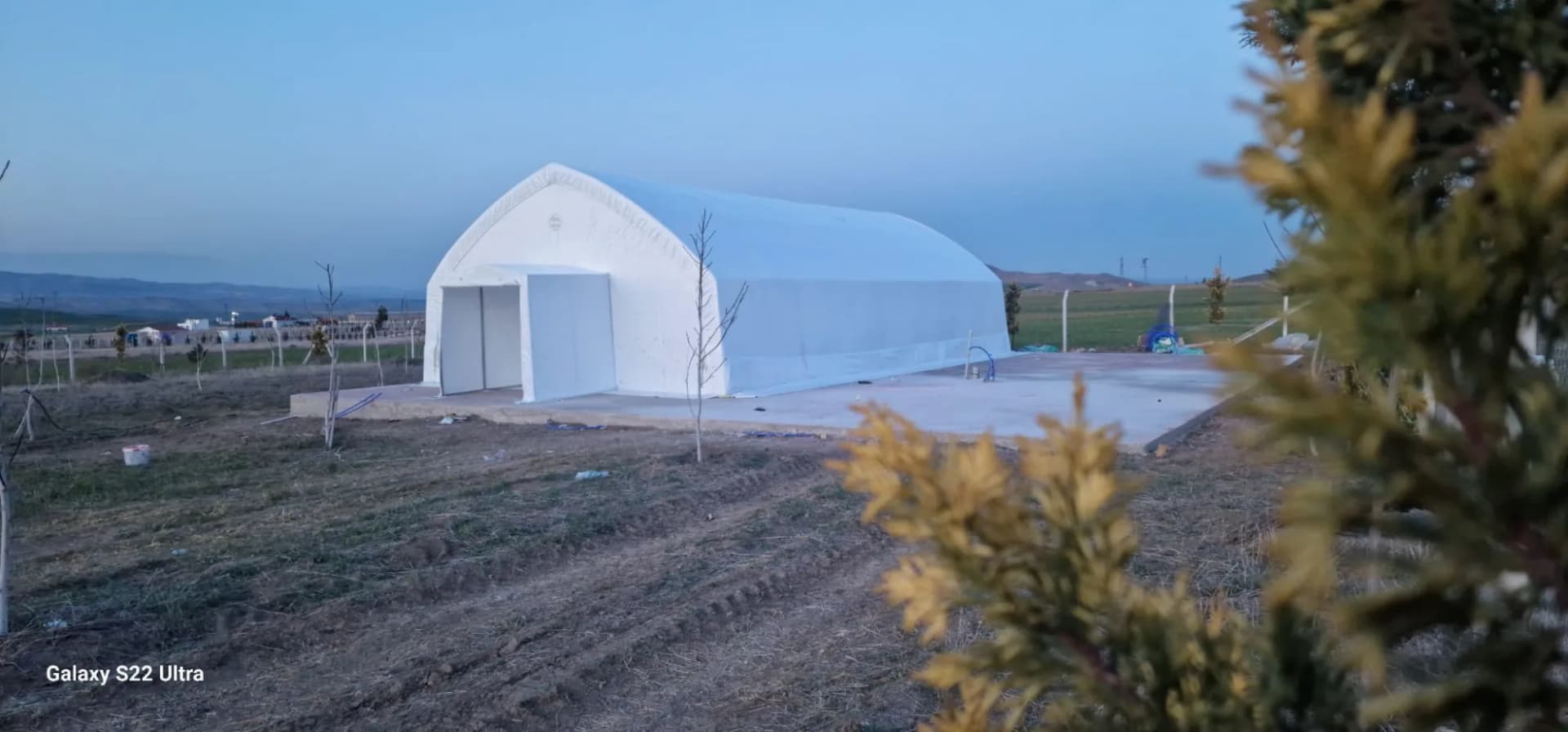 Mushroom growing tent